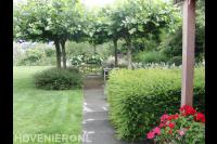 Bloementuin met vijver