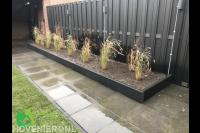 Verhoogde border met siergras voor schutting