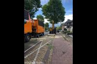 Bomen langs openbare weg verwijderen 2
