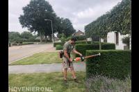 Heg knippen 2