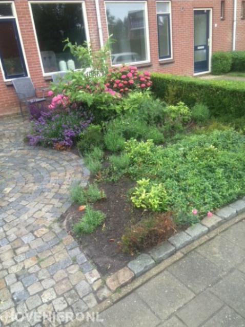 Voortuin met sierbestrating en kleurrijk bloeiende beplanting 3