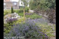 Kleurrijk bloeiende beplanting