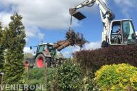 Boomverwijdering met kraan op locatie