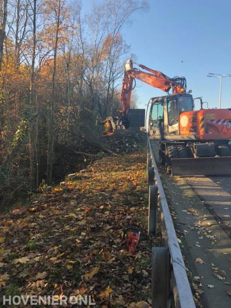 Bomen kappen langs provinciale weg 1