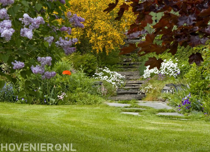 Arkes Tuin- en Grondverzet