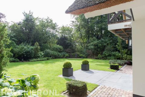 Ruime tuin met veel groen en groot gazon 1