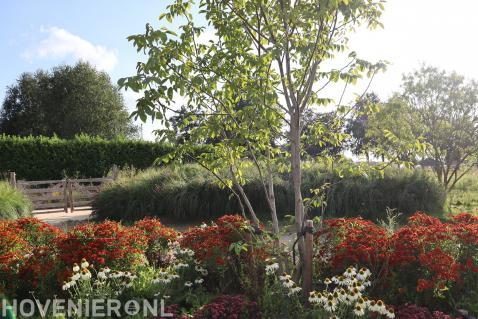 landelijke voortuin met jaarrond bloem en bloesembomen-florera.nl