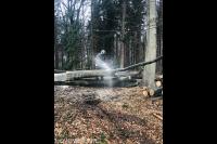 Gekapte boom in stukken zagen met kettingzaag