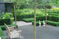 Groene zithoek met hagen