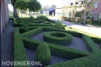 Klassieke voortuin met buxushagen 2