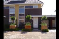 Onderhoudsarme tuin met houten plantenbakken 2