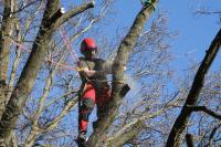 JvR Boom en Groen