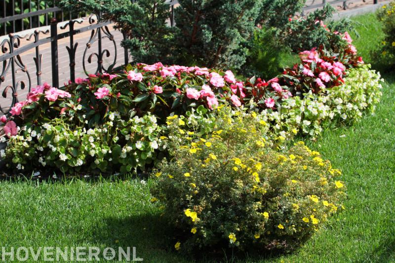 Balk en Baartman Hoveniers