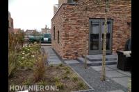 Terras met leibomen en border met hortensia's