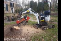 Maton Boomverzorging