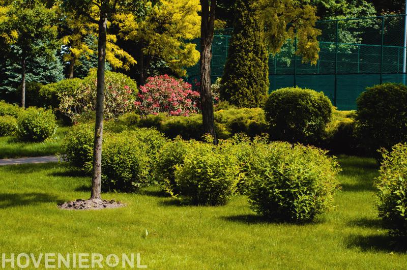 Tuin Coaching- en Adviesbureau Chôwa