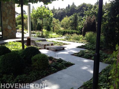 Tuin met strakke lijnen en veel groen