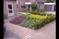 Kleine voortuin met bestrating en kleurrijke planten