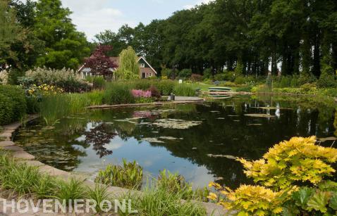 Tuin met grote vijver en kleurrijke borders 1