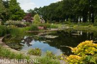 Tuin met grote vijver en kleurrijke borders 1