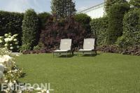 Ligstoelen op strak gemaaid gazon