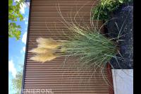 Remco Hofstee Hovenierswerken