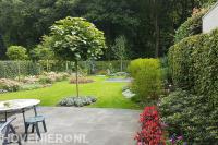 Tuin met terras, groot gazon en kleurrijk bloeiende beplanting