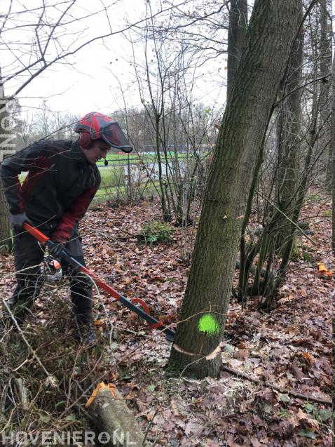 training lichte velling in Hengelo