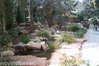 Vijver met rotsformatie 2