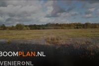 Ikwilvanmijnboompjeaf