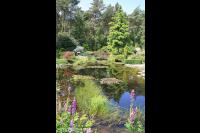 Natuurlijke tuin met grote vijver