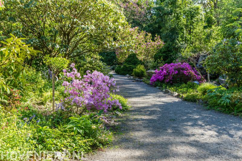 Jacco Broers Hoveniers