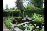 Strakke heldere vijver met waterlelies