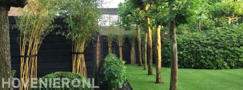 Groene tuin met bamboe en leibomen