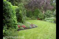 Groene tuin met gazon 1