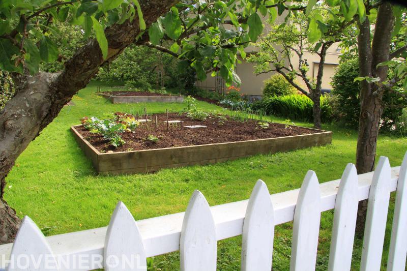 Peter Verlaan Boomverzorging & Kettingzaagkunst