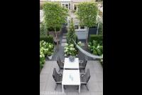 Moderne tuin met leibomen en hortensia's