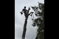 JvR Boom en Groen