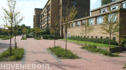 Bestraten van parkeerplaats