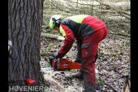 Boom omzagen met kettingzaag