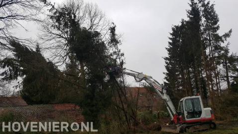 Bomen verwijderen