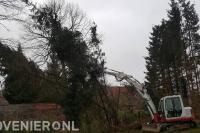 Bomen verwijderen
