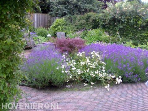 Tuin met vlonder en kleurrijke beplanting in borders 2