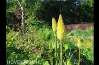 TuinKracht Hoveniers