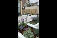 Hoveniersbedrijf M. Maarsen