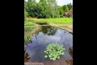 folievijver fauna vriendelijk