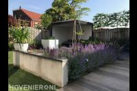 Moderne tuin met overkapping en witte bloempotten en plantenbakken 1