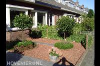 Onderhoudsarme voortuin