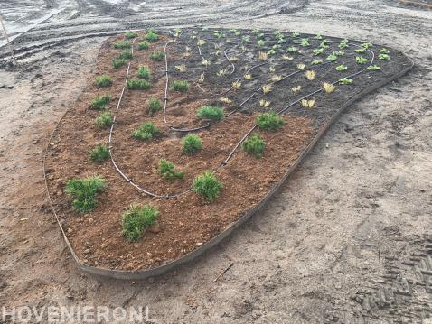 Border met nieuwe planten en beregening