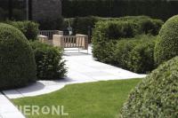 Snoeien van hagen in ronde vormen